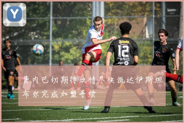 费内巴切期待坎特尽快抵达伊斯坦布尔完成加盟手续